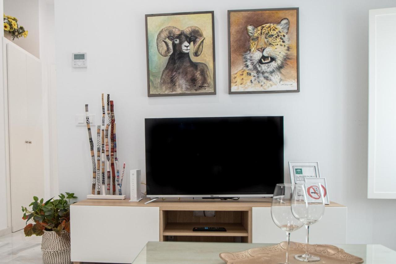 Apartamento Animalia Καντίζ Εξωτερικό φωτογραφία