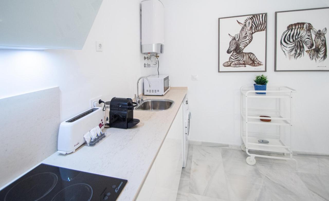 Apartamento Animalia Καντίζ Εξωτερικό φωτογραφία
